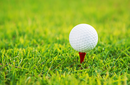 golf ball and tee on green grassの写真素材