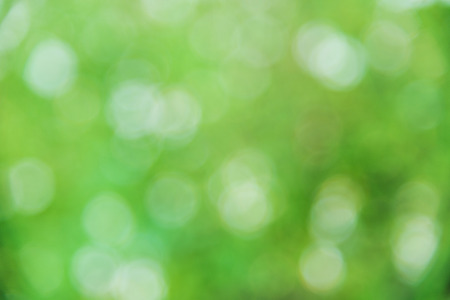 Green bokeh from tree backgroundの写真素材