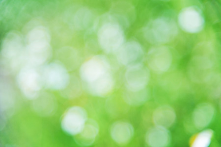 Green bokeh from tree backgroundの写真素材