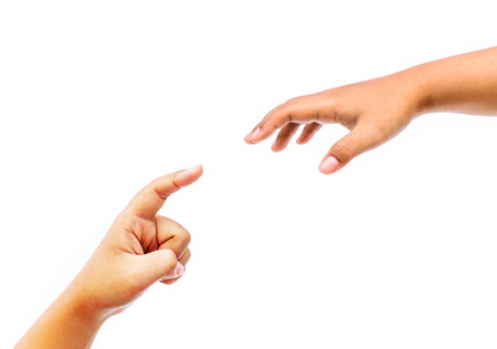 Collage of female hands isolated on white background.の写真素材