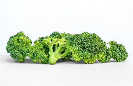 Broccoli head on white backgroundの写真素材