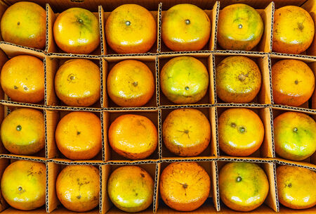 Fresh oranges in paper box,Top view of oranges.の写真素材