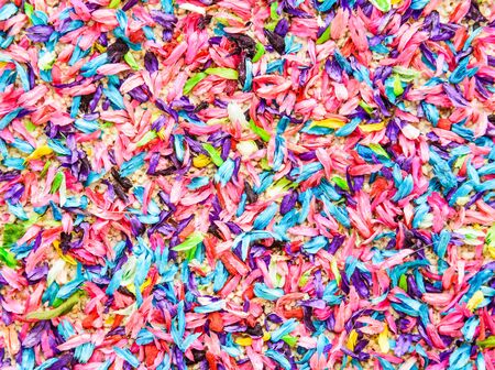 Petals flower backgroundの写真素材