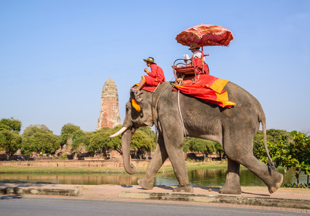 AYUTHAYA THAILAND-JANUARY 2 : tourist riding on elephant back past ancient pagoda in Ayuthaya famous world heritage sites of unesco central of thailand on January 2,2015 in Ayuthaya Thailandのeditorial素材