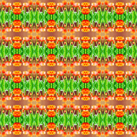 Abstract orange tulips pattern background.の写真素材