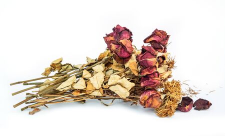 Dried roses and chrysanthemums flowers isolated on white backgroundの写真素材