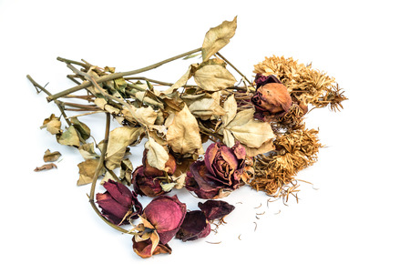 Dried roses and chrysanthemums flowers isolated on white backgroundの写真素材