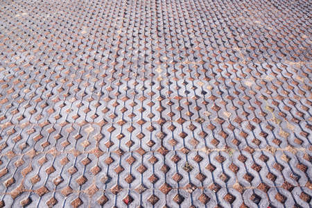 Cement brick sidewalk with dry grass.