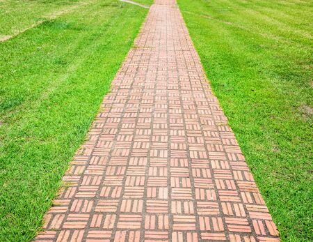 Red brick walk path on green grass.の写真素材