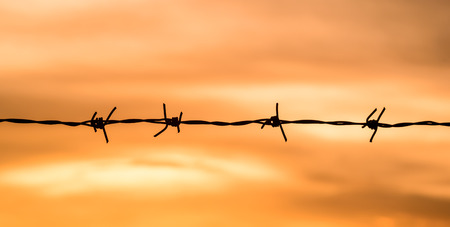 silhouette of Barbed wire on sunset backgroundの写真素材