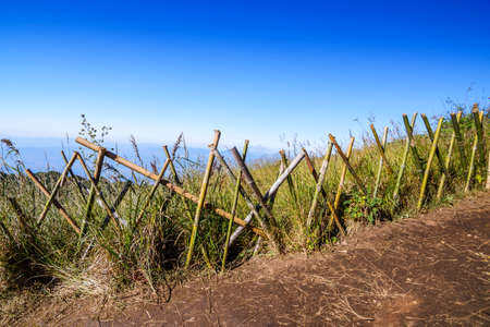 Pathway at viewpoint of doi Inthanon national park, Chiang Mai,Thailandの写真素材