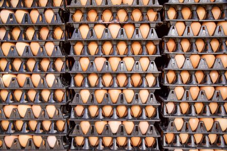 Group of fresh eggs in tray
