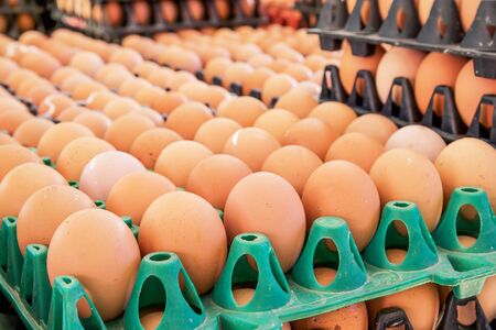 Group of fresh eggs in tray
