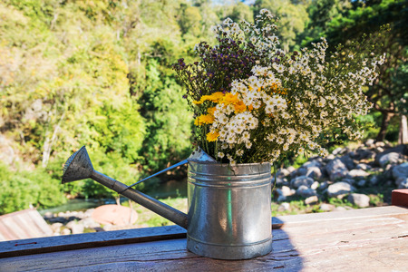 Colorful flowers in a zinc watering can.の写真素材