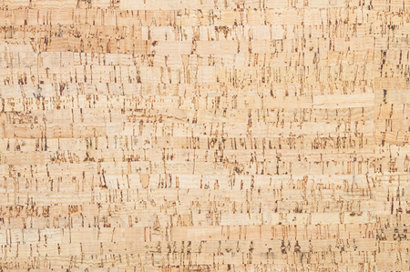 Cork board texture background.の写真素材