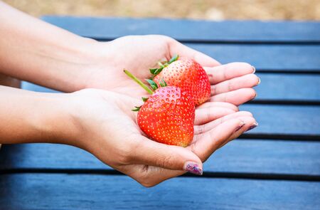Fresh strawberries in female hands isolated on wooden background.の写真素材