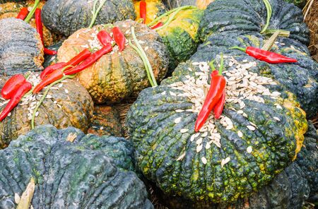 Pile of pumpkins ,seeds and red chilli.の写真素材