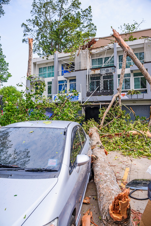 THAILAND, CHIANG MAI - MAY 17: Damage building and cars by falling trees after hard rain storm in Sarapee of Chiang Mai, Thailand on May 17, 2016.のeditorial素材