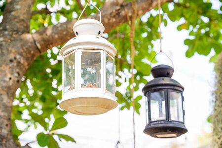 Decorative candle lantern hanging in tree in gardenの写真素材
