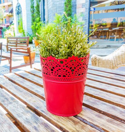 Flower in red pot in outside the coffee shopの写真素材
