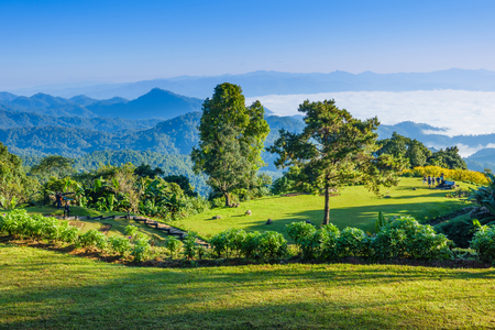 Morning sunrise over mist , Huai Nam Dang National Park, Chiang Mai, Thailand, landscape, travel and nature conceptのeditorial素材