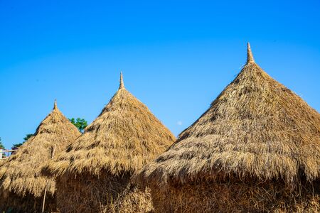 Pile of dry rice straw in the rice field after harvest process in the farm.の写真素材