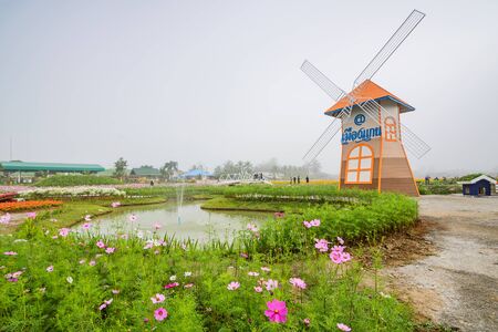 CHIANG MAI, THAILAND - DECEMBER 21: Cosmos flower field and wind turbine in the garden, Being decorated for tourism in winter, Chiang Mai ,Thailand in December 21, 2016.のeditorial素材