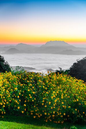 Morning sunrise over mist , Huai Nam Dang National Park, Chiang Mai, Thailand, landscape, travel and nature conceptの写真素材