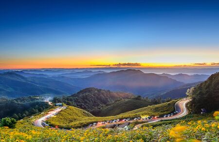 Mexican sunflower ( Tung Bua Tong flower) in sunset sky on hill, Mae hong son Province, Thailand.