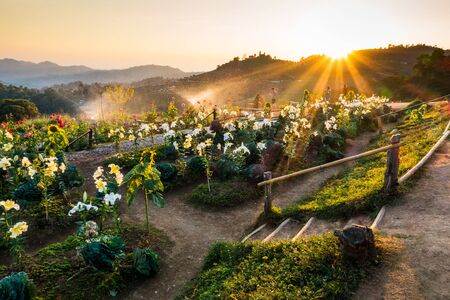 CHIANG MAI, THAILAND- January 28 :  Mon Cham mountain landscape and tourists in sunset, Chiang Mai, on January 28, 2017 in Thailand.の写真素材