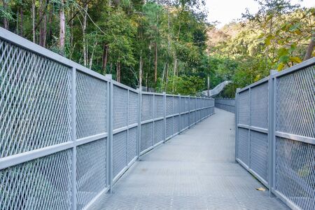 Canopy Walkway in Queen Sirikit Botanic Garden, Chiang Mai, Thailand.の写真素材