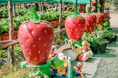 Jars shaped strawberry for decoration.の写真素材