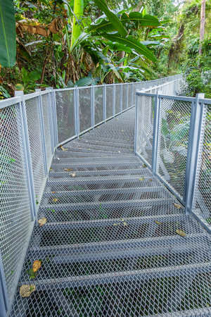 Canopy Walkway in Queen Sirikit Botanic Garden, Chiang Mai, Thailand.