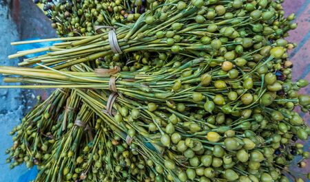 Fresh and organic vegetables in Luang Prabang, Laosの写真素材