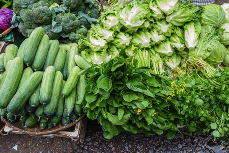 Fresh and organic vegetables in Luang Prabang, Laosの写真素材