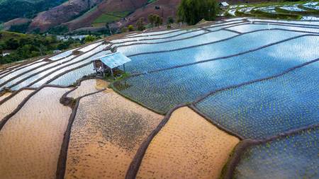 Top view of Beautiful Terraced Paddy Field in Mae-Jam Village , Chaing mai Province , Thailand. Pa Pong Piang rice field.の写真素材