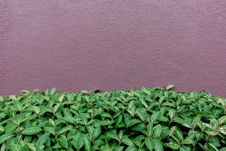 Creative layout made of leaves with paper card note. Flat lay. Nature background conceptの写真素材