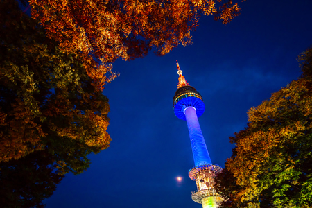 Namsan Park and N Seoul Tower at Night in Seoul,South Korea.のeditorial素材