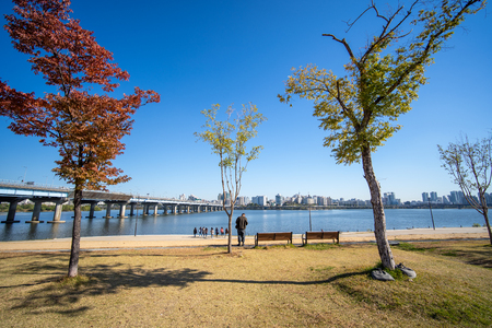 SEOUL, SOUTH KOREA -OCTOBER 19, 2018 : Seoul Hangang Park at Yeouido with Relaxation on the Han River in public.のeditorial素材