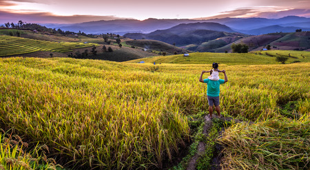 Bong piang stepped rice terrace in Chiang mai , North of Thailand.の写真素材