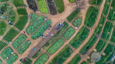 Outdoor Public Green Park, Aerial Top View of Mon Cheam in Chiang Mai, Thailandの写真素材