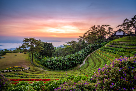 Huai Nam Dang National park in sunrise and beautiful sky in morning, Chiang Mai, Thailand. Majestic sunrise in the mountains landscape.の写真素材