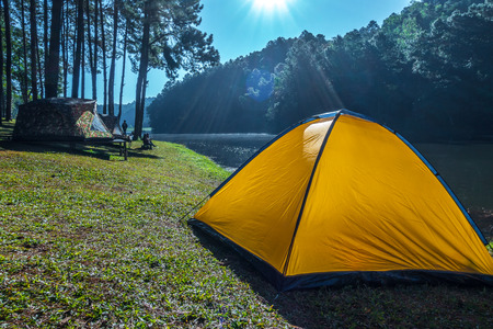 Camping tent near the lake, Camping in Pine forest