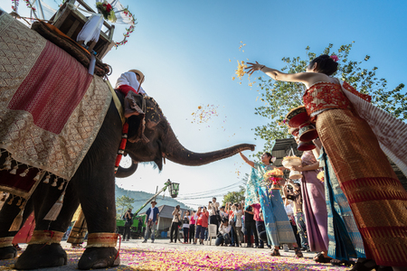 CHIANGMAI, THAILAND - FEBBRUARY 14, 2019 : 9 Couple riding elephant in wedding registration ceremony on elephant at Mae Tang Elephant Camp, Chiang Mai in Thailand.のeditorial素材