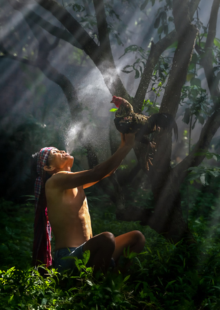 Man cleaning Thai gamecock and throw water out to chicken in Thailand.のeditorial素材