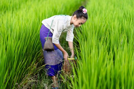 Asian girl with fishing equipment in rice field with rural backgroundの写真素材
