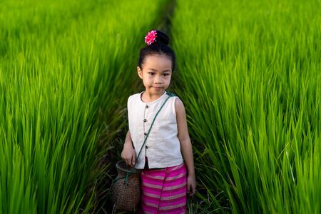 Asian girl in rice field with countryside backgroundの写真素材