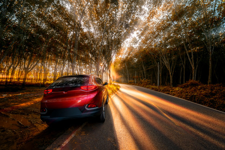 CHIANG MAI, THAILAND - May 13, 2019 :  Car on the country asphalt road through pine forests with rays shining on the foggy beautiful road.のeditorial素材