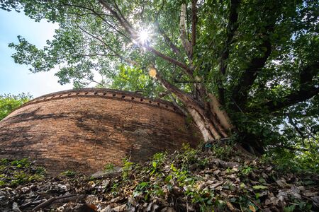 Ancient brick wall also known as Fort of Haiya or Thipanaet and big Bodhi trees in Chiang Mai city, Northern Thailandの写真素材