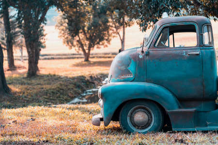 Chiang Mai, Thailand - January 22, 2021: Image in side of the green  vintage car and golden grass in the park, Vintage Effectのeditorial素材
